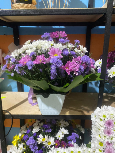 Toko Bunga Terbesar King Florist Palangkaraya – Pilihan Utama Florist Profesional di Kalimantan Teng